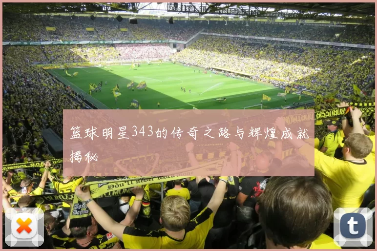 篮球明星343的传奇之路与辉煌成就揭秘