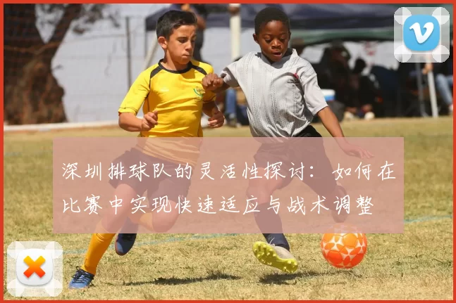 深圳排球队的灵活性探讨：如何在比赛中实现快速适应与战术调整