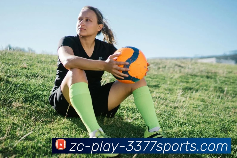 3377官网服务体系